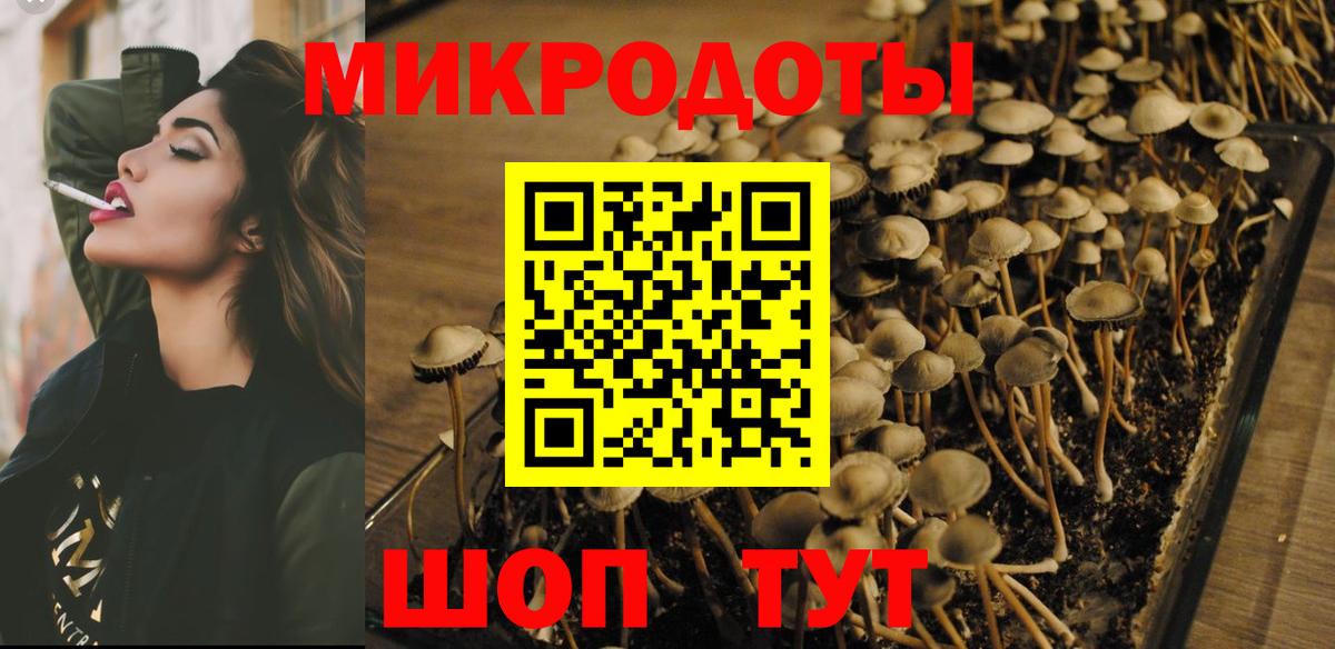 Галлюциногенные грибы GOLDEN TEACHER  Галлюциногенные грибы ЛСД  Вход с VPN  Советская Гавань 