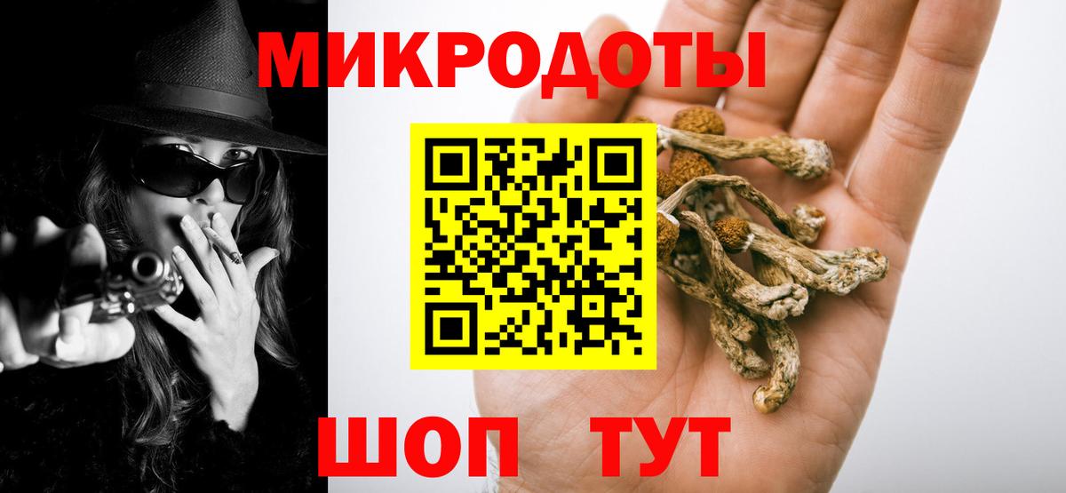 Псилоцибиновые грибы Psilocybine cubensis Советская Гавань